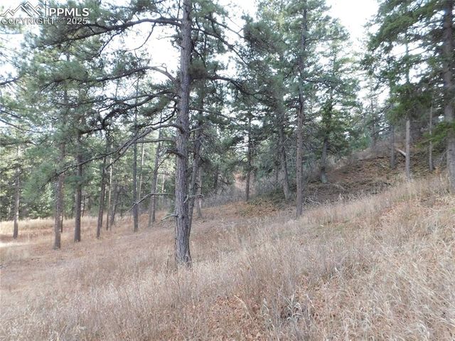 8055 Acoma Drive, Larkspur, CO 80118