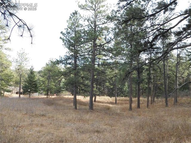 8055 Acoma Drive, Larkspur, CO 80118