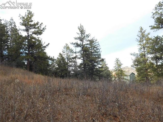 8055 Acoma Drive, Larkspur, CO 80118