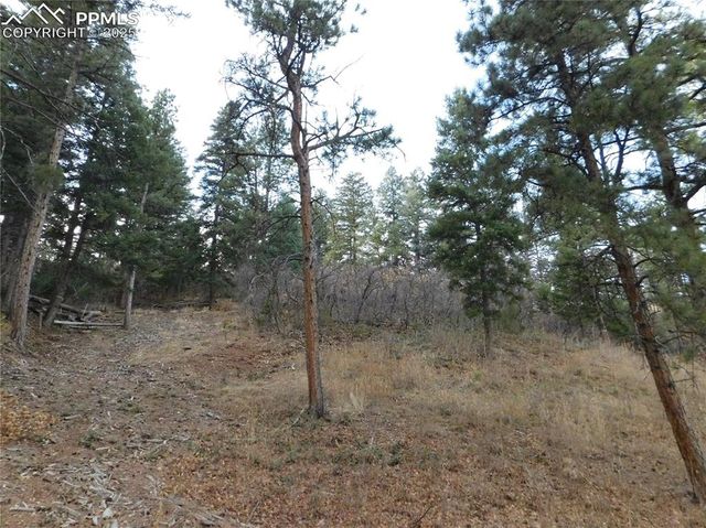 8055 Acoma Drive, Larkspur, CO 80118