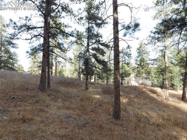 8055 Acoma Drive, Larkspur, CO 80118
