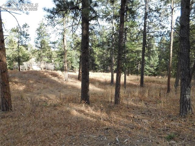 8055 Acoma Drive, Larkspur, CO 80118