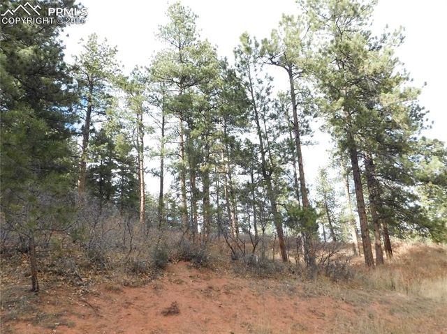 8055 Acoma Drive, Larkspur, CO 80118