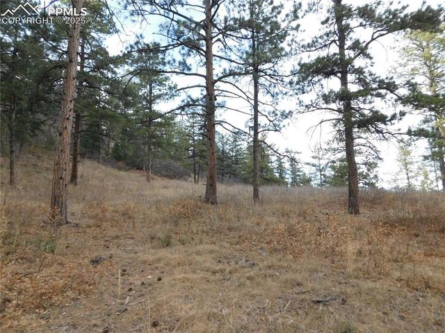 8055 Acoma Drive, Larkspur, CO 80118
