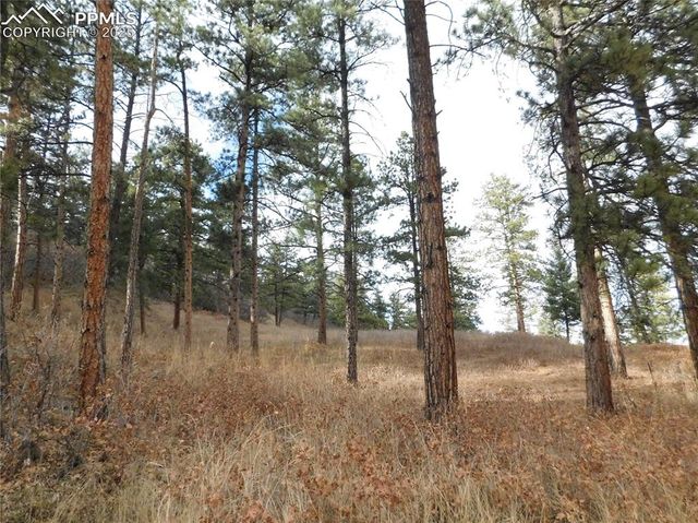 8055 Acoma Drive, Larkspur, CO 80118