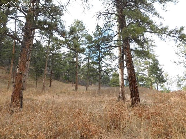 8055 Acoma Drive, Larkspur, CO 80118