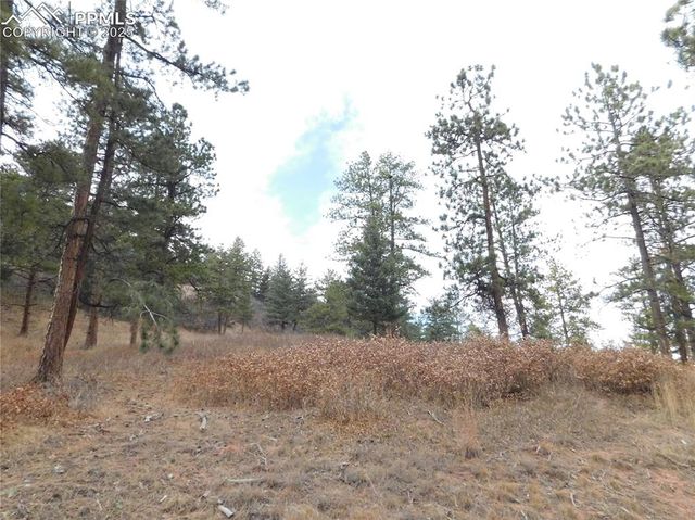 8055 Acoma Drive, Larkspur, CO 80118
