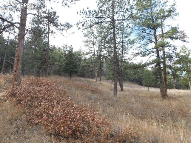 8055 Acoma Drive, Larkspur, CO 80118
