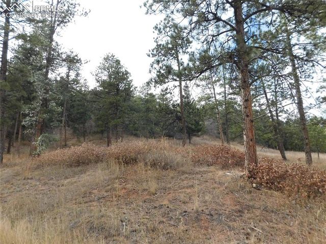 8055 Acoma Drive, Larkspur, CO 80118