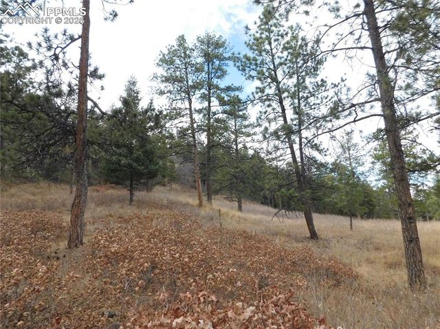 8055 Acoma Drive, Larkspur, CO 80118
