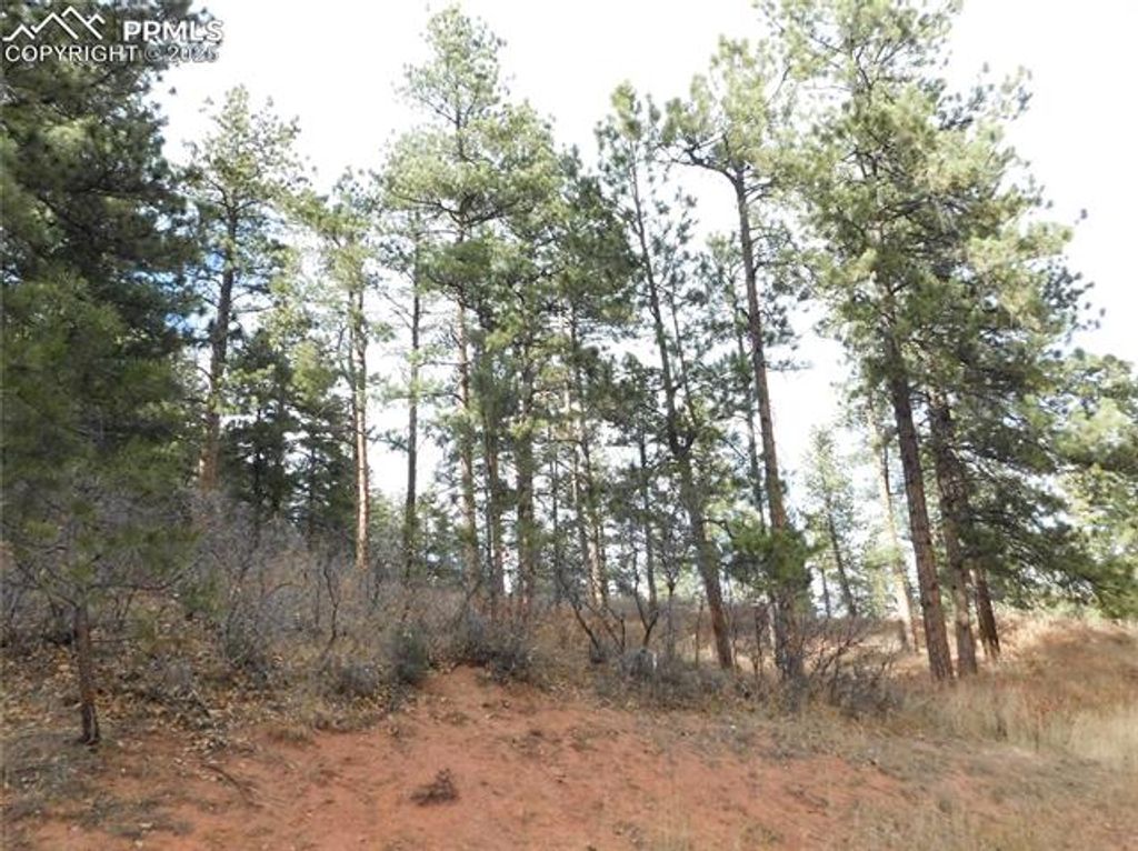 8055 Acoma Drive, Larkspur, CO 80118 — photo 3