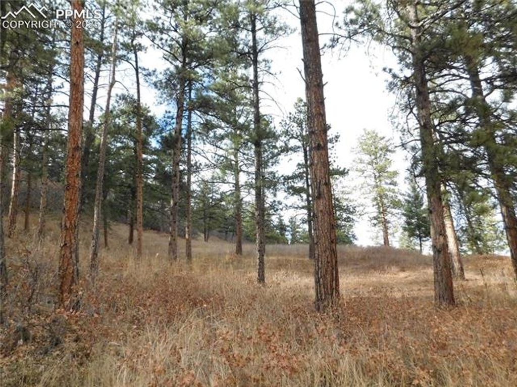 8055 Acoma Drive, Larkspur, CO 80118 — photo 4