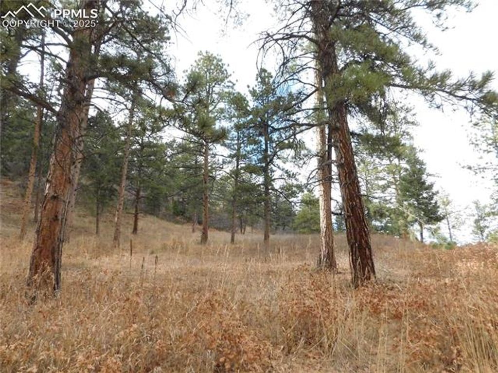8055 Acoma Drive, Larkspur, CO 80118 — photo 5