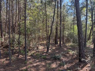 Tract 107 Hwy 156, Coldspring, TX 77331