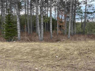 6234 NE Us-131 N, Kalkaska, MI 49646