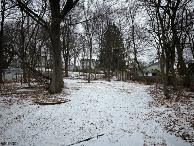 112 Fern Ave, Wharton Boro, NJ 07885