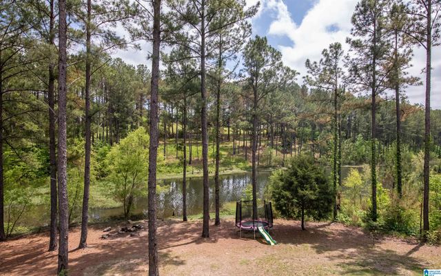 155 LAKESIDE DRIVE, Odenville, AL 35120