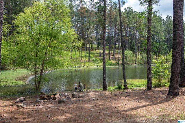 155 LAKESIDE DRIVE, Odenville, AL 35120