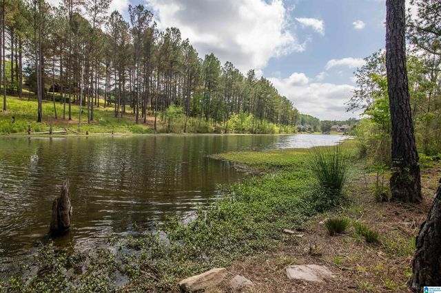 155 LAKESIDE DRIVE, Odenville, AL 35120