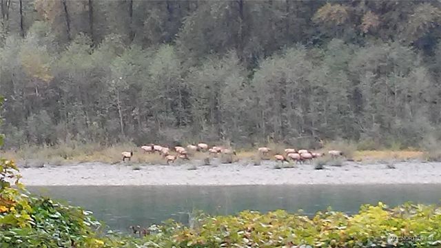 41722 S Shore Drive, Concrete, WA 98237