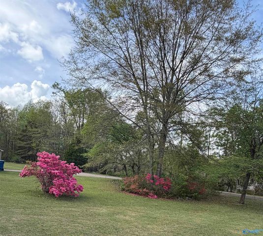 398 Peteet Street, Rainbow City, AL 35906