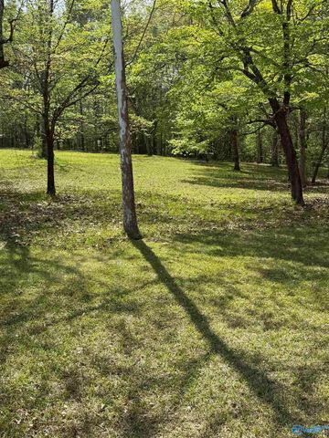 398 Peteet Street, Rainbow City, AL 35906