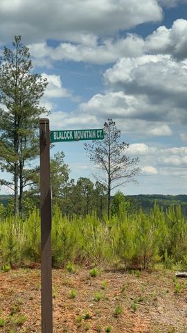 197 Blalock Mountain Court, Talking Rock, GA 30175