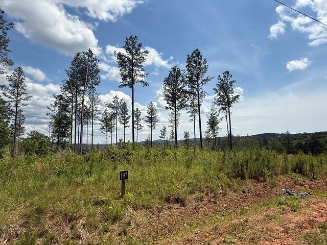 197 Blalock Mountain Court, Talking Rock, GA 30175