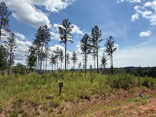 197 Blalock Mountain Court, Talking Rock, GA 30175