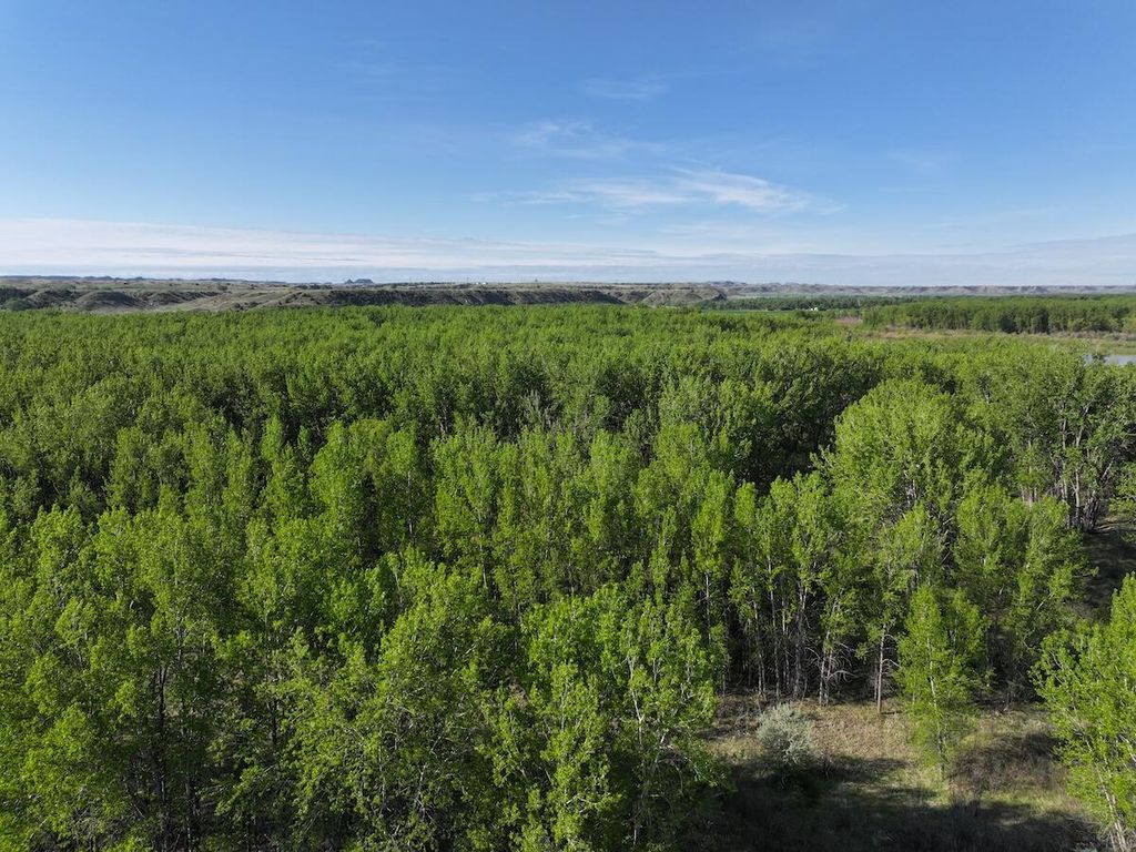 TBD, Miles City, MT 59301 photo 11