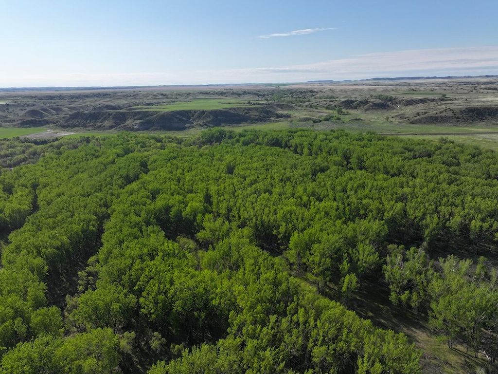 TBD, Miles City, MT 59301 photo 6