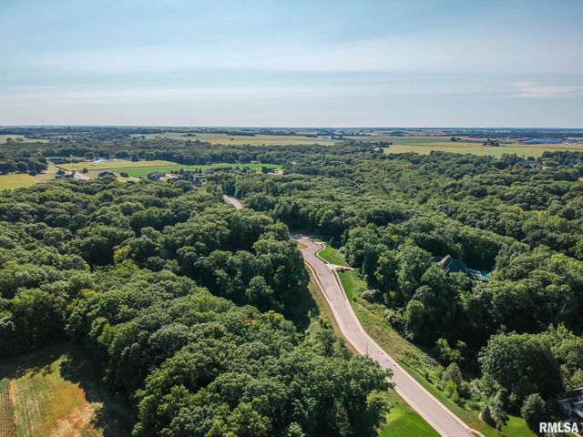 Lot 46 WOLF CROSSING Drive, Morton, IL 61550