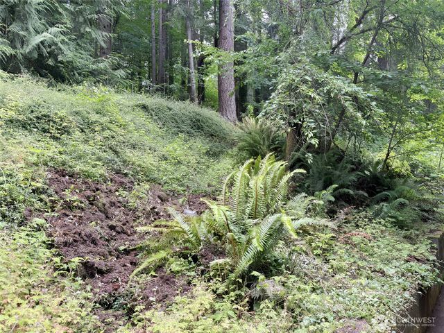 24404 SE Mirrormont Boulevard, Issaquah, WA 98027