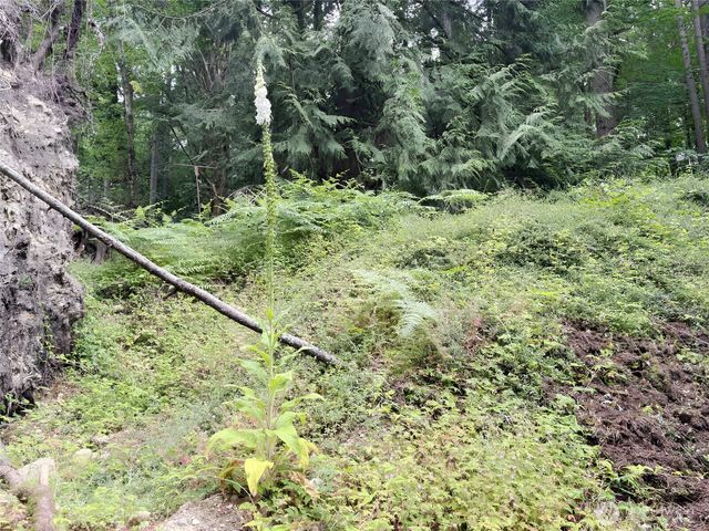 24404 SE Mirrormont Boulevard, Issaquah, WA 98027