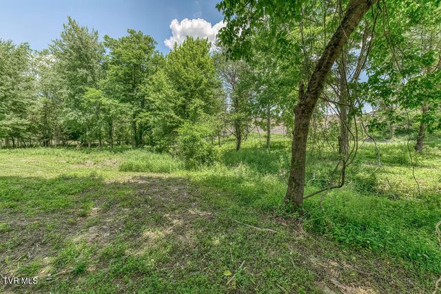1993 Feathers Chapel Road, Blountville, TN 37617