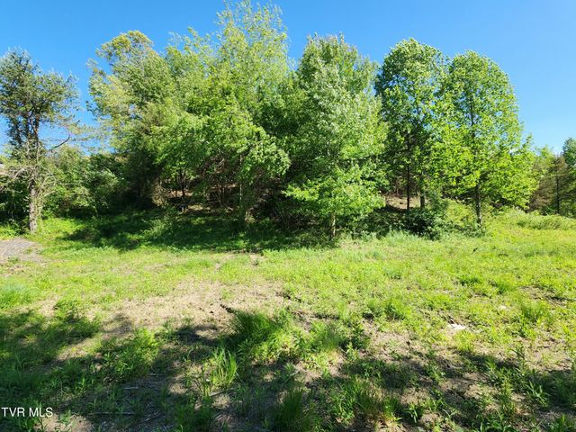 1993 Feathers Chapel Road, Blountville, TN 37617