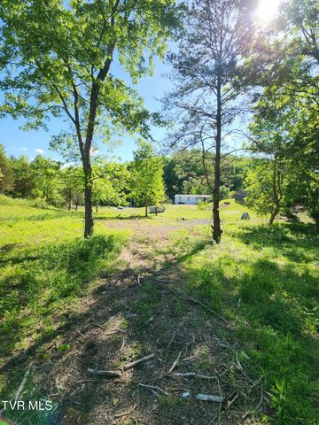 1993 Feathers Chapel Road, Blountville, TN 37617