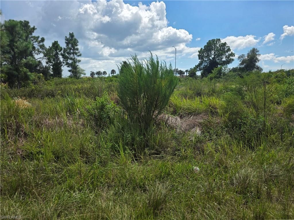 3046 Meadow RD, LEHIGH ACRES, FL 33974 — exterior