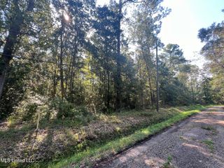 Sauer Drive, Waveland, MS 39576