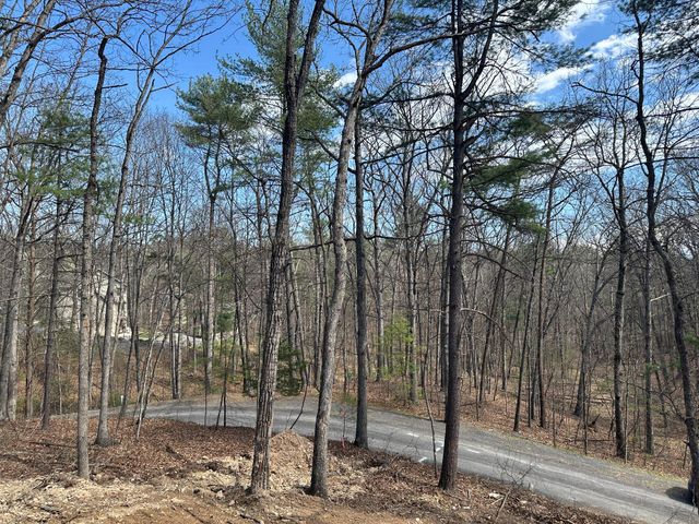 5 PIN OAK LN, Basye, VA 22810