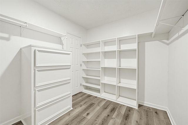 2131 Counter Point Drive, Houston, TX 77055