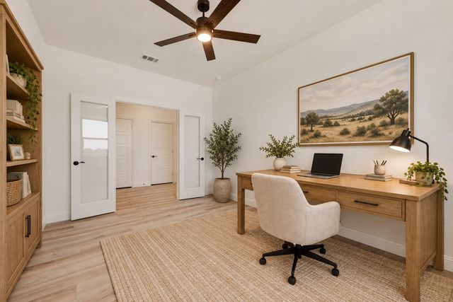 325 Skeen Peak Drive, Springtown, TX 76082