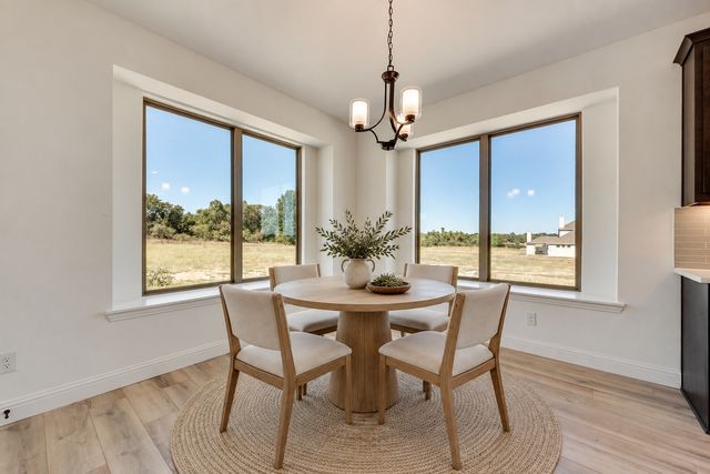 325 Skeen Peak Drive, Springtown, TX 76082