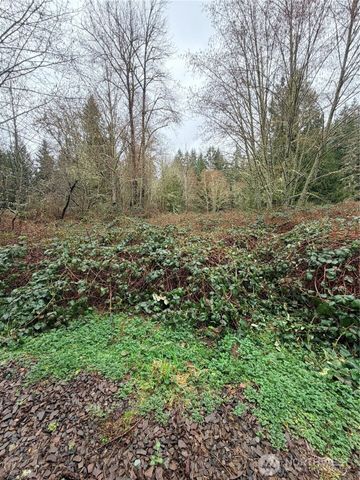 0 xxxx 238th Avenue NE, Redmond, WA 98053