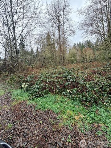 0 xxxx 238th Avenue NE, Redmond, WA 98053