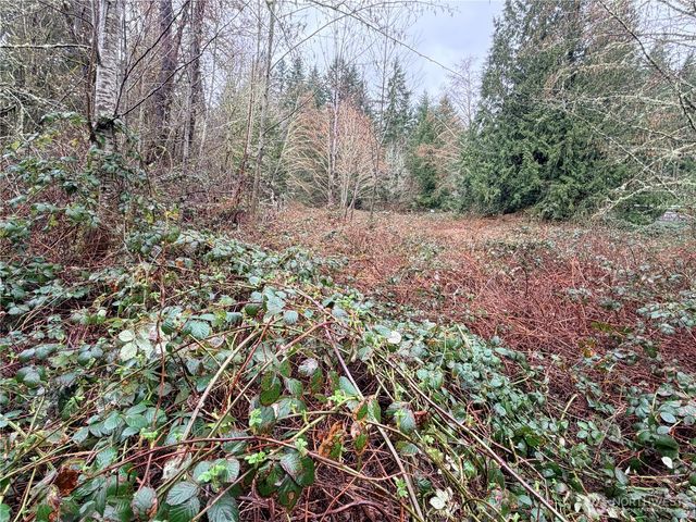 0 xxxx 238th Avenue NE, Redmond, WA 98053