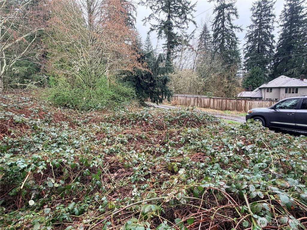 0 xxxx 238th Avenue NE, Redmond, WA 98053