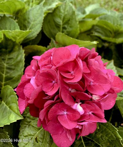 1873 Highway 101, Beaufort, NC 28516