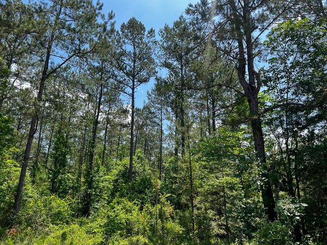 04 Highway 190, Oakhurst, TX 77359