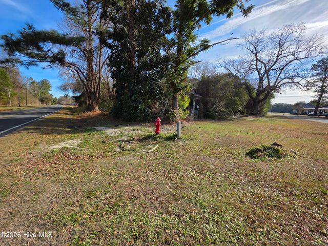 1081 Red Bug Road, Hallsboro, NC 28442